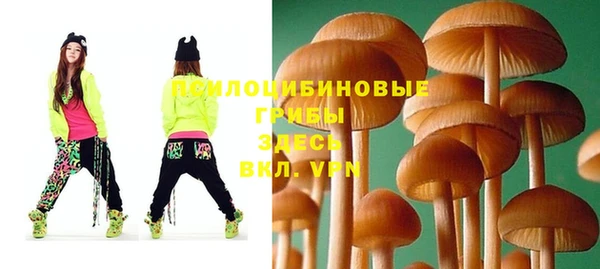 марки lsd Козловка